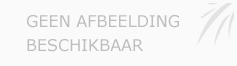 Afbeelding › GOUWETECHNIEK